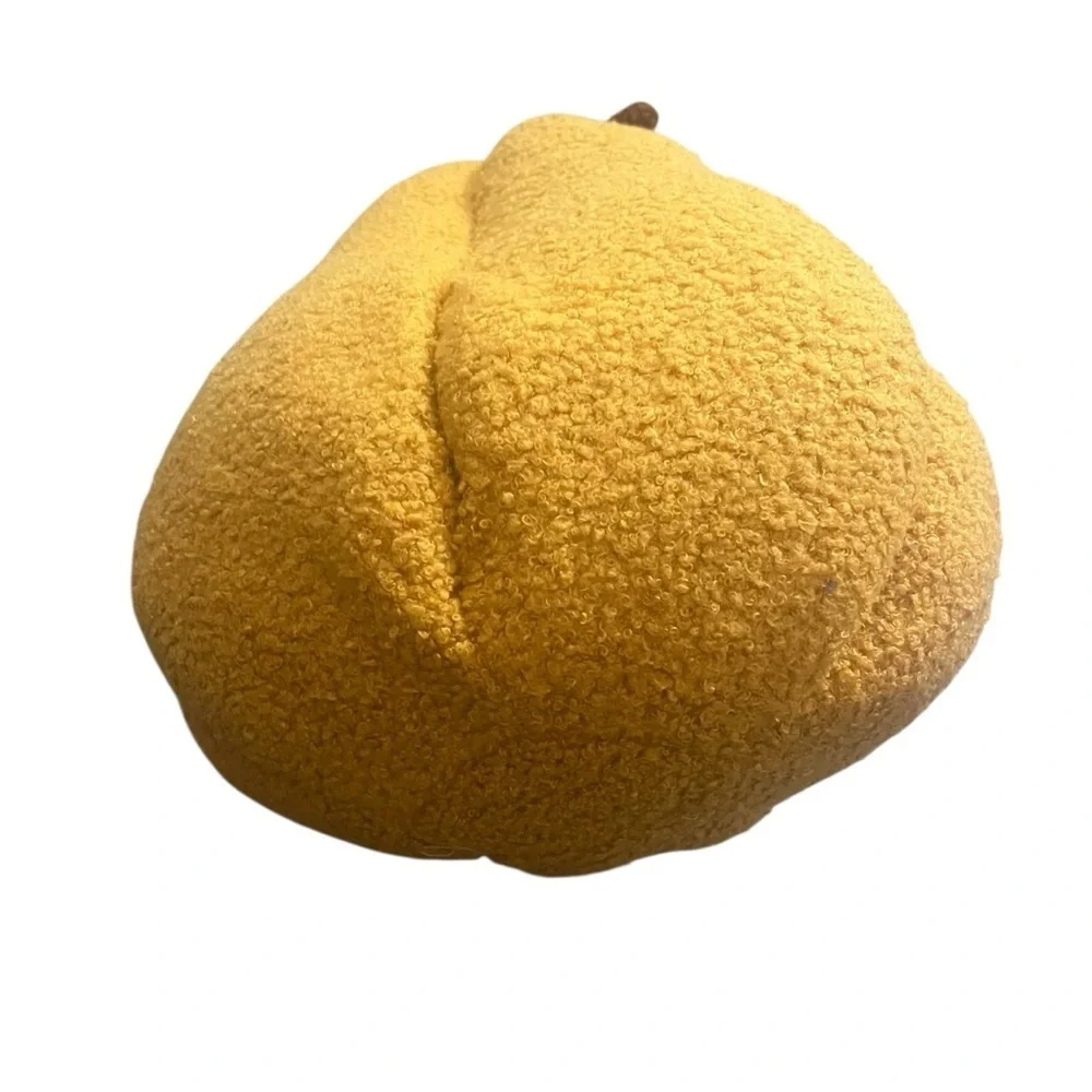 N/A nwot pumpkin